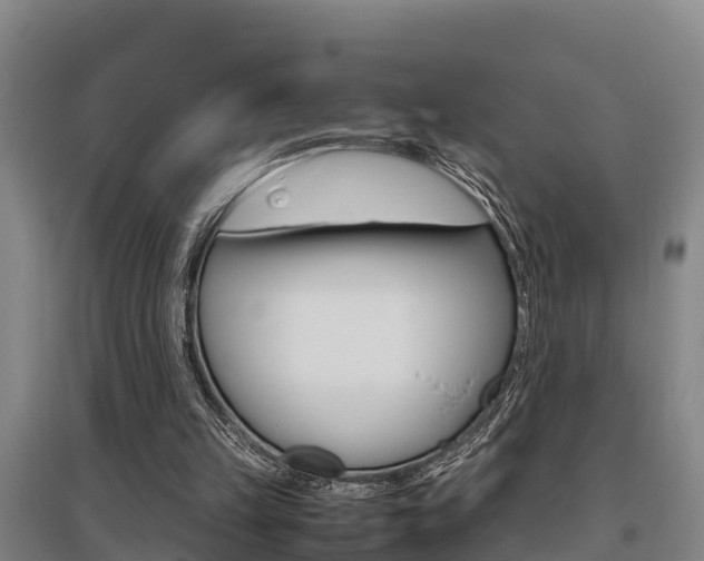 X0000095890149200801110837