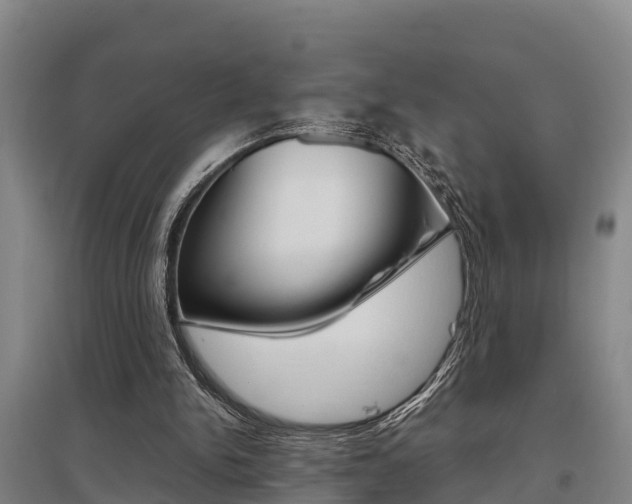 X0000095890150200801110837