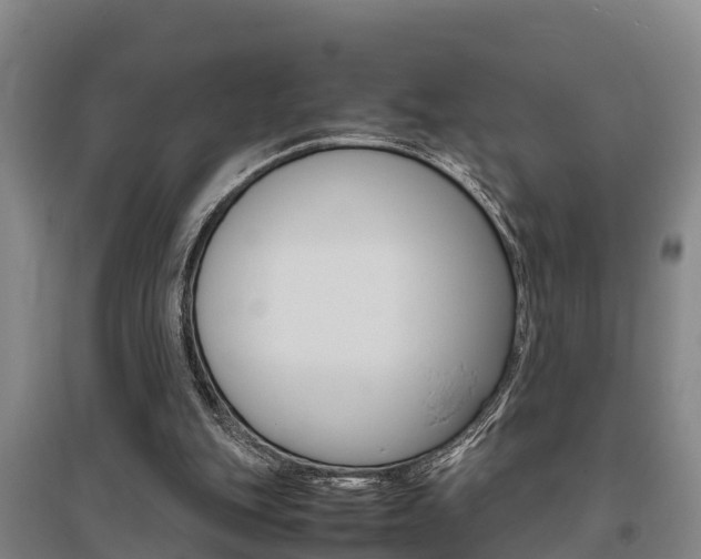 X0000095890151200801110837
