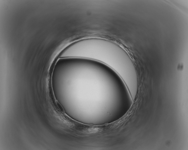 X0000095890152200801110837