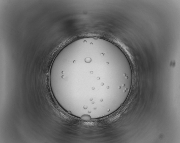 X0000095890153200801110837