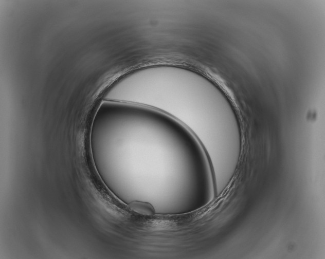 X0000095890154200801110837