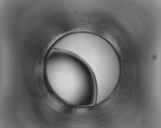 X0000095890156200801110837