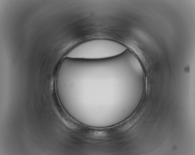 X0000095890157200801110837
