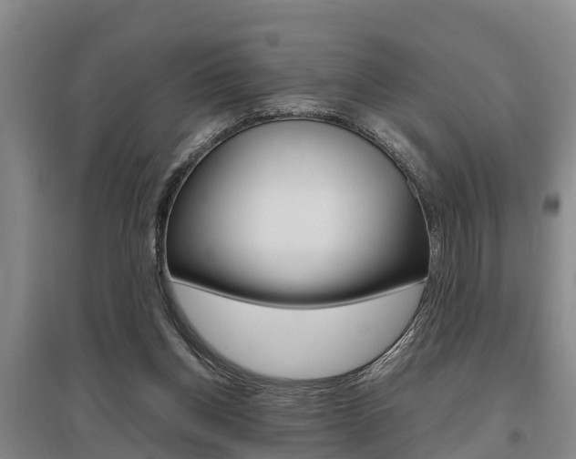 X0000095890158200801110837