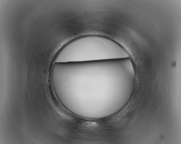 X0000095890159200801110837