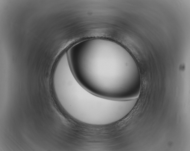 X0000095890160200801110837