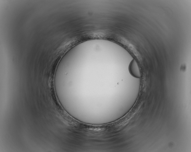 X0000095890161200801110837