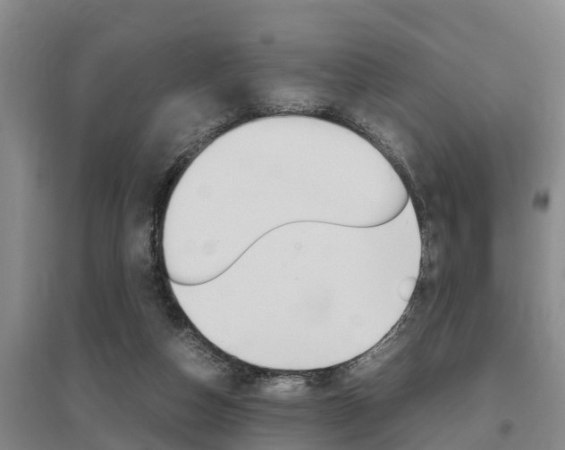 X0000095890162200801110837