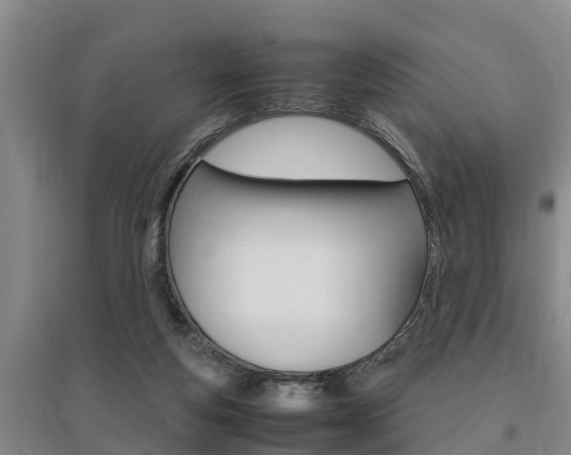 X0000095890163200801110837