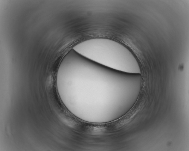 X0000095890165200801110837