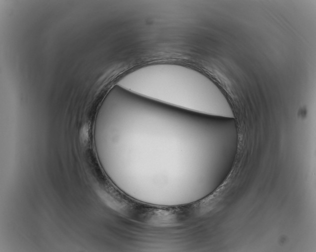 X0000095890166200801110837