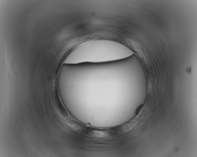 X0000095890167200801110837