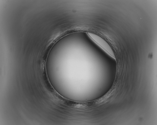 X0000095890168200801110837