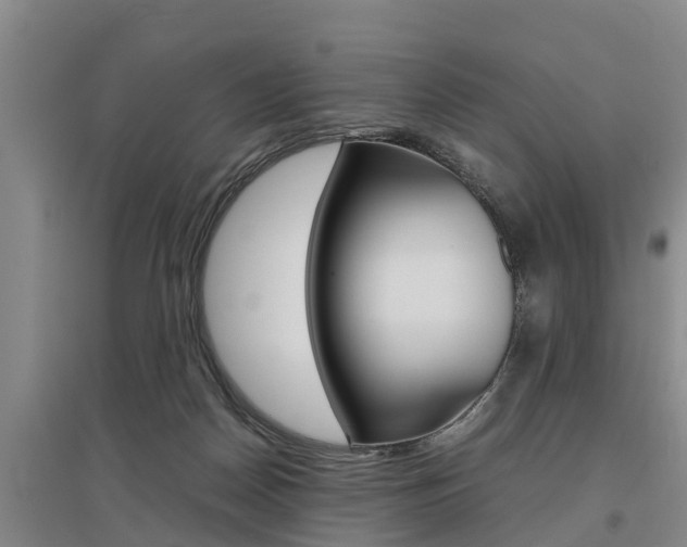 X0000095890170200801110837