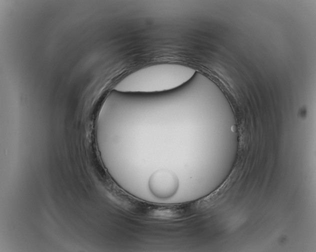X0000095890171200801110837