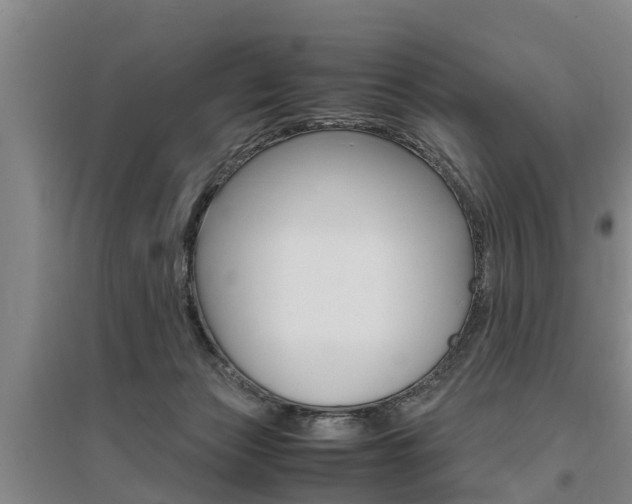 X0000095890173200801110837