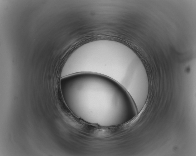 X0000095890174200801110837