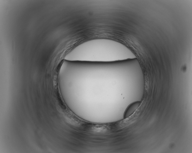 X0000095890175200801110837
