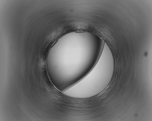 X0000095890176200801110837