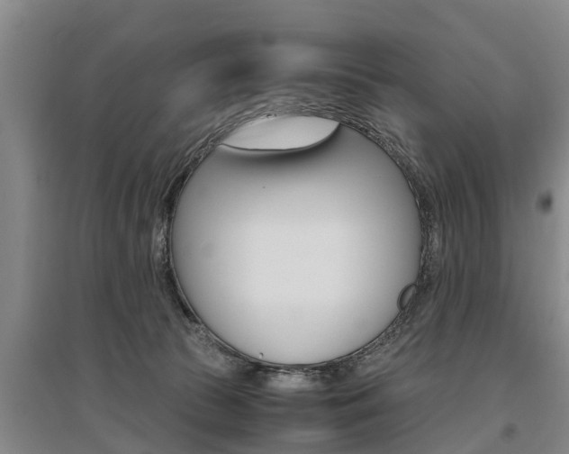 X0000095890177200801110837