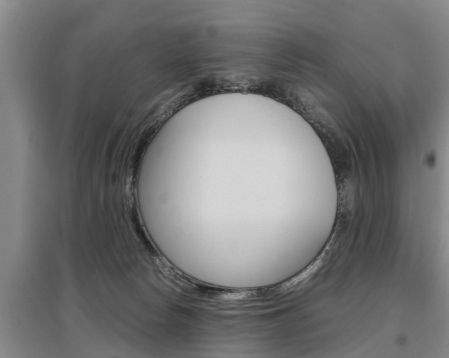 X0000095890178200801110837
