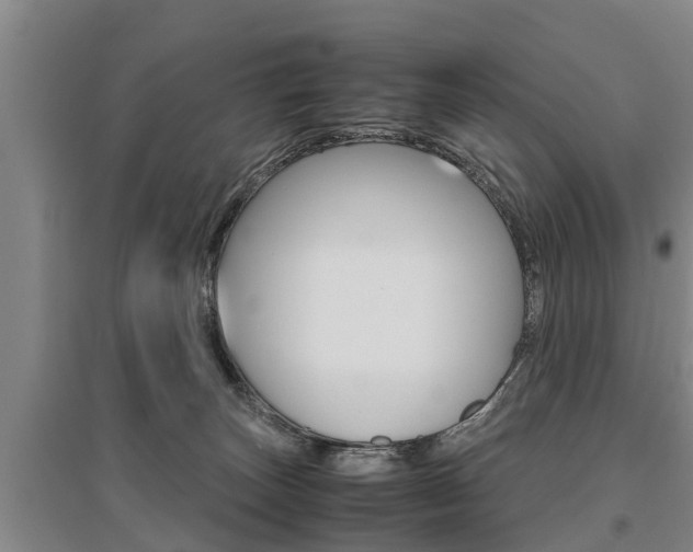 X0000095890179200801110837