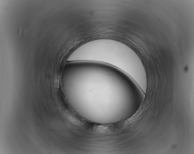 X0000095890180200801110837