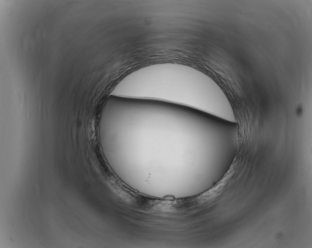 X0000095890182200801110837