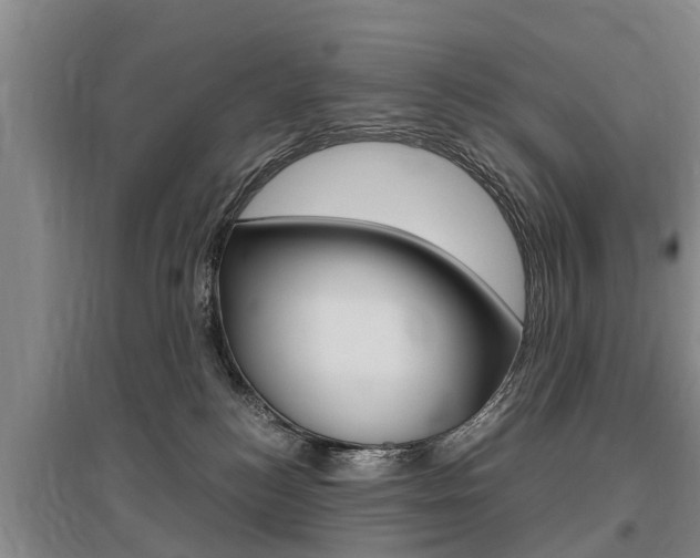 X0000095890184200801110837