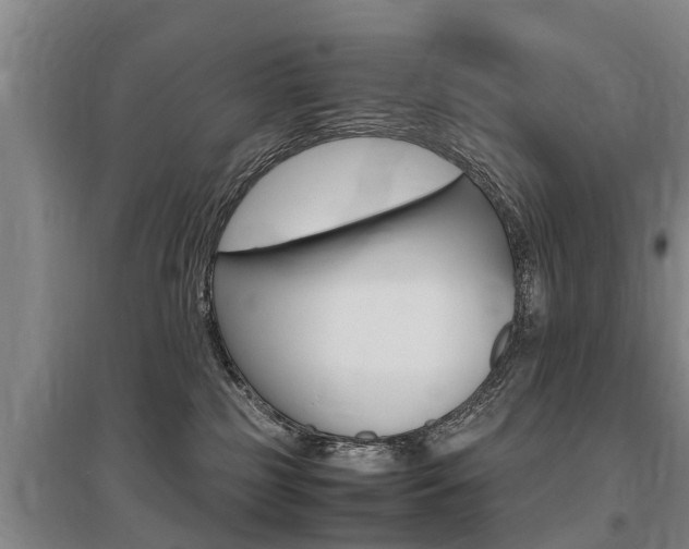 X0000095890185200801110837