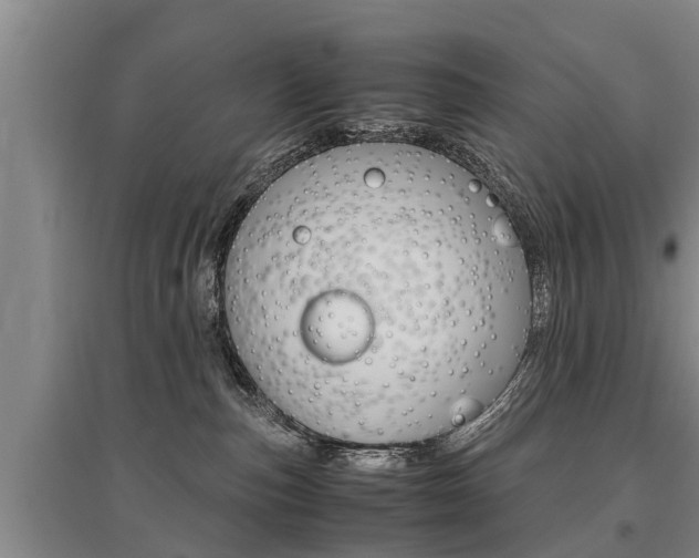 X0000095890187200801110837