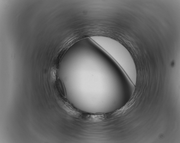 X0000095890188200801110837