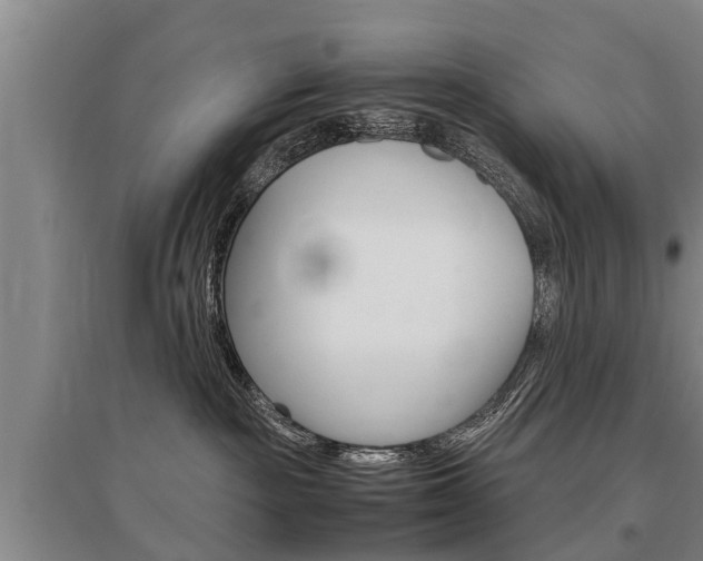X0000095890189200801110837