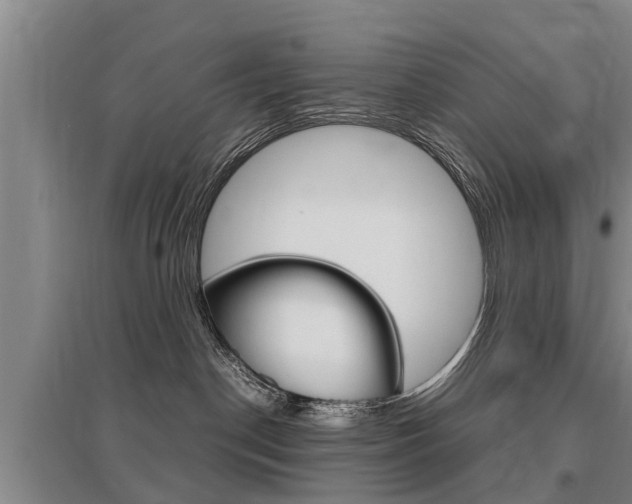 X0000095890190200801110837