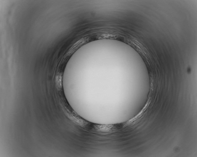 X0000095890191200801110837