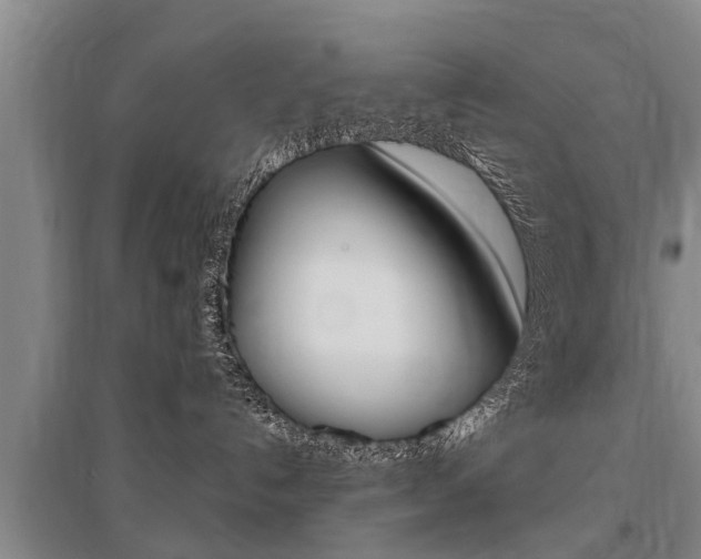 X0000095890192200801110837