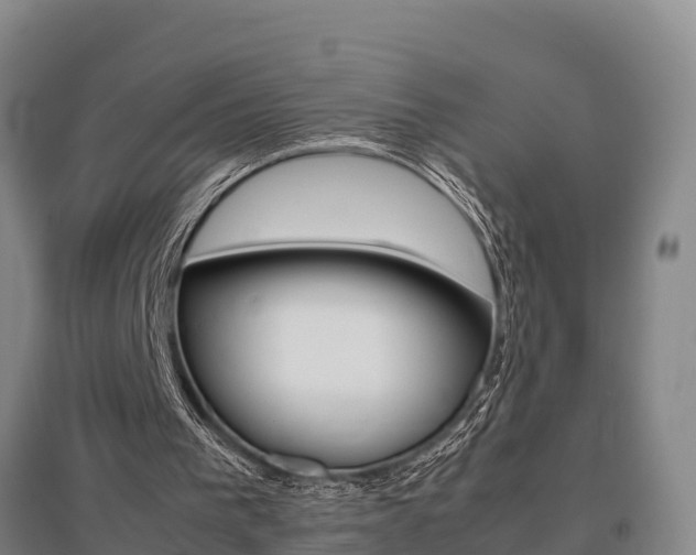 X0000095890193200801110837