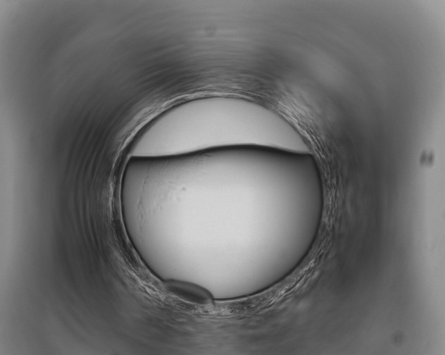 X0000095890194200801110837