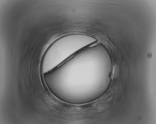 X0000095890195200801110836