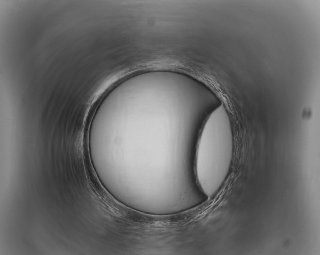 X0000095890196200801110836