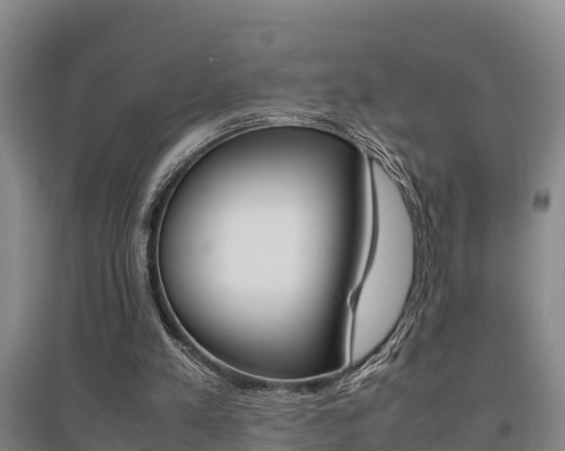 X0000095890197200801110836