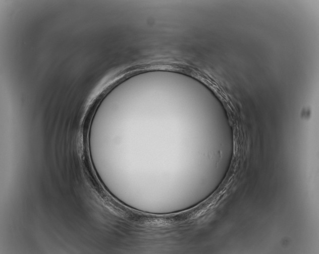 X0000095890198200801110836