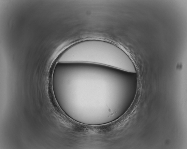 X0000095890199200801110836