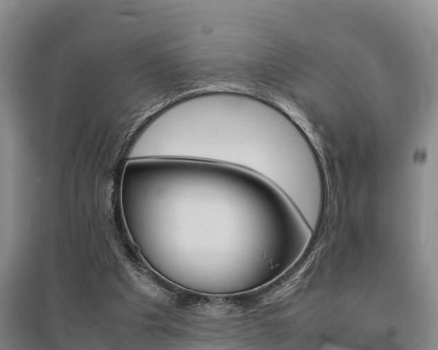 X0000095890201200801110836