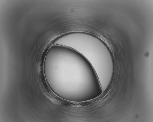 X0000095890203200801110836