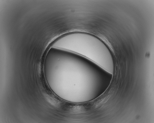X0000095890204200801110836