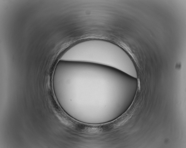 X0000095890205200801110836