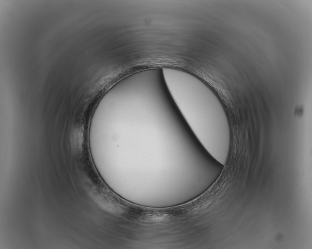 X0000095890206200801110836