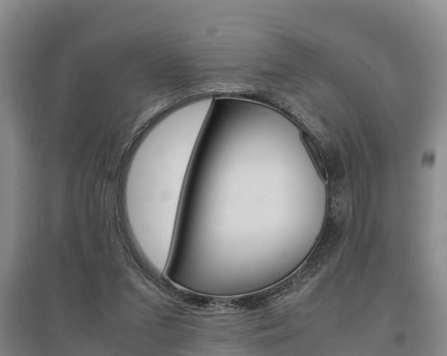 X0000095890207200801110836